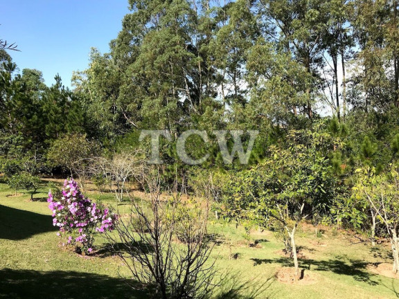 Imagem Imóvel com 3 Quartos à Venda, 21.000 m² em Parque Da Fazenda - Itatiba
