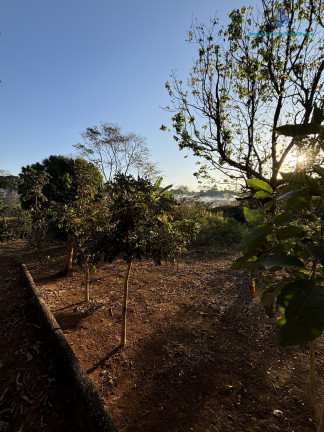 Imagem Terreno à Venda, 16.500 m² em Jardim Helvécia Complemento - Aparecida De Goiânia Imagem Terreno à Venda, 16.500 m² em Jardim Helvécia Complemento - Aparecida De Goiânia