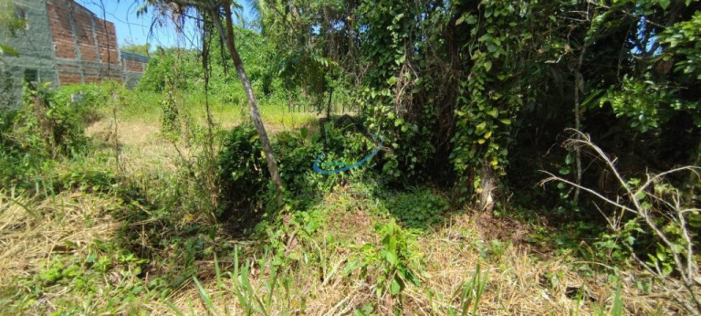 Imagem Terreno à Venda, 490 m² em Jardim Das Gaivotas - Caraguatatuba Imagem Terreno à Venda, 490 m² em Jardim Das Gaivotas - Caraguatatuba