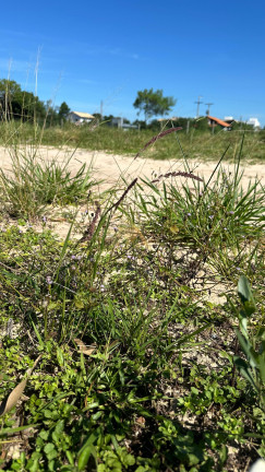 Imagem Terreno à Venda, em Ibiraquera - Imbituba Imagem Terreno à Venda, em Ibiraquera - Imbituba