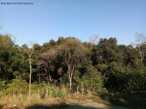 Imagem Terreno à Venda, 2.000 m² em Germânia - Nova Petrópolis Imagem Terreno à Venda, 2.000 m² em Germânia - Nova Petrópolis