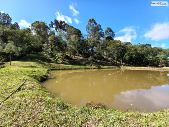 Imagem Imóvel à Venda, 8.000 m² em Zona Rural - Quatro Barras Imagem Imóvel à Venda, 8.000 m² em Zona Rural - Quatro Barras