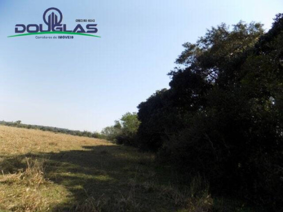 Imagem Chácara à Venda, 20.000 m² em águas Claras - Viamão Imagem Chácara à Venda, 20.000 m² em águas Claras - Viamão