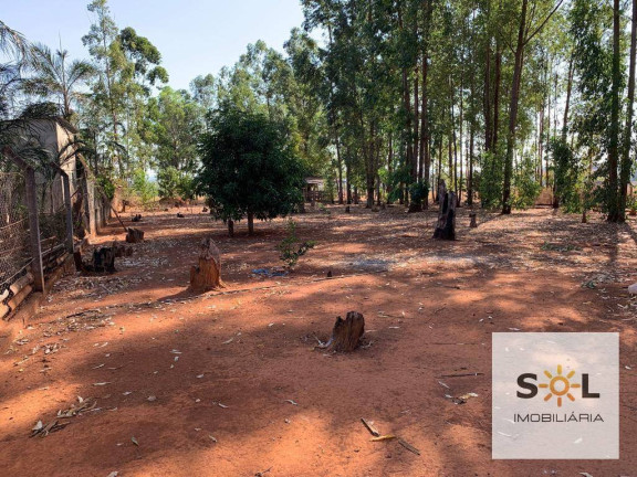 Imagem Chácara com 2 Quartos à Venda, 294.000 m² em Zona Rural - Bela Vista De Goiás Imagem Chácara com 2 Quartos à Venda, 294.000 m² em Zona Rural - Bela Vista De Goiás