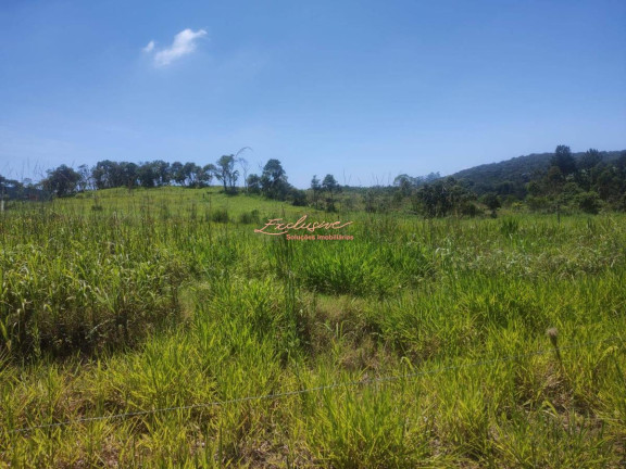 Imagem Terreno à Venda, 2.000 m² em Casarão Do Chá - Mogi Das Cruzes Imagem Terreno à Venda, 2.000 m² em Casarão Do Chá - Mogi Das Cruzes