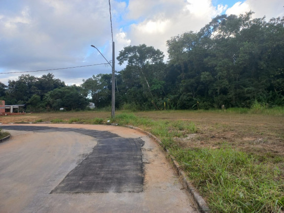 Imagem Terreno à Venda, 350 m² em Vila Nova - Joinville Imagem Terreno à Venda, 350 m² em Vila Nova - Joinville