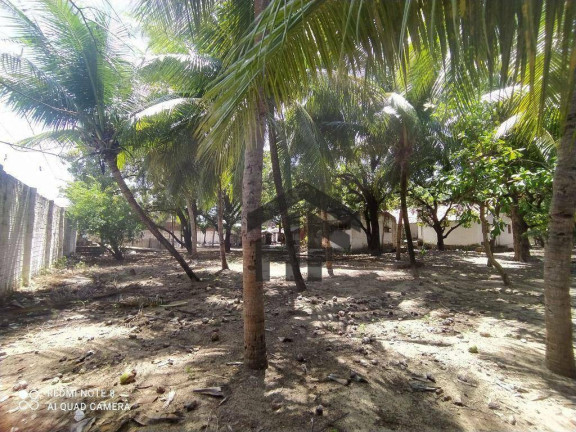 Imagem Imóvel à Venda, 2.047 m² em Maria Farinha - Paulista Imagem Imóvel à Venda, 2.047 m² em Maria Farinha - Paulista