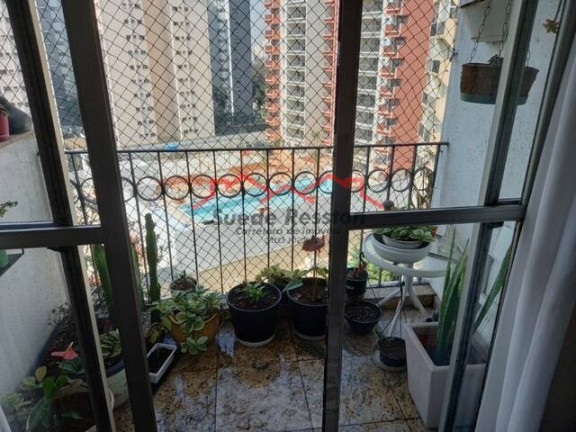 Imagem Apartamento com 3 Quartos à Venda, 75 m² em Vila Sofia - São Paulo