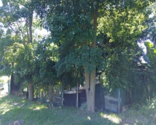 Imagem Terreno à Venda, em Vila Germânia - Nova Petrópolis Imagem Terreno à Venda, em Vila Germânia - Nova Petrópolis