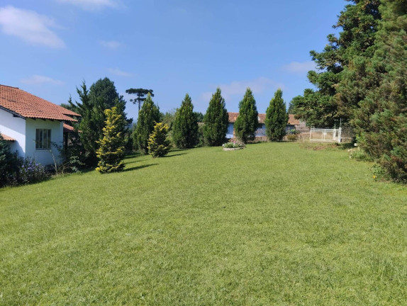 Imagem Chácara com 3 Quartos à Venda, 180 m² em Campo Alegre