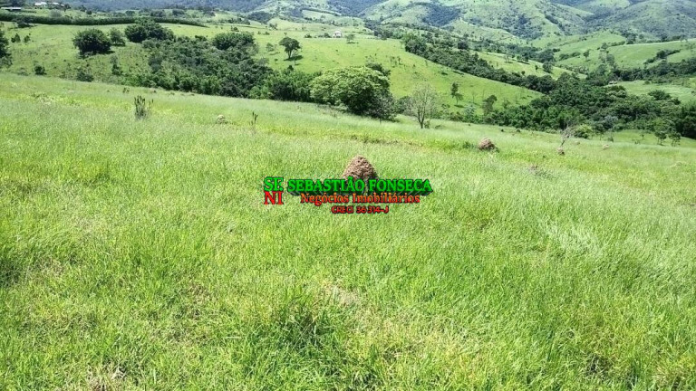 Imagem Chácara à Venda, 490.000 m² em Piedade - Caçapava Imagem Chácara à Venda, 490.000 m² em Piedade - Caçapava