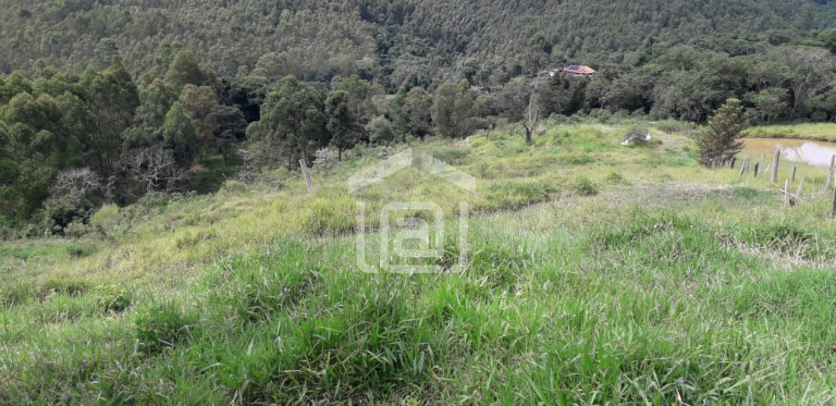Imagem Imóvel com 3 Quartos à Venda, 20.000 m² em Serra Do Selado (rural) - Poços De Caldas
