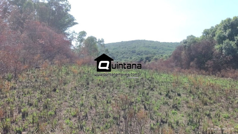 Imagem Imóvel com 3 Quartos à Venda, 2.600.000 m² em 1º Distrito - Canguçu
