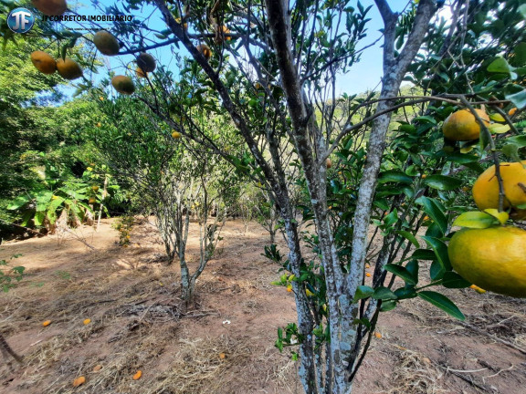 Imagem Chácara com 6 Quartos à Venda, 680.000 m² em Iapu Imagem Chácara com 6 Quartos à Venda, 680.000 m² em Iapu