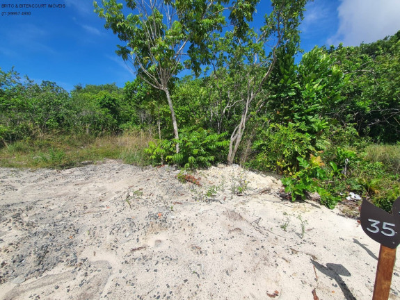 Imagem Terreno à Venda, 1.000 m² em Busca Vida - Camaçari Imagem Terreno à Venda, 1.000 m² em Busca Vida - Camaçari