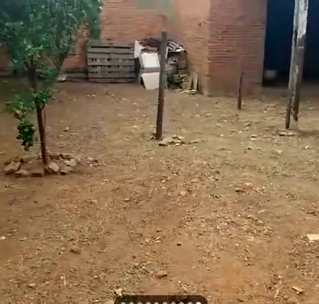 Imagem Casa com 2 Quartos à Venda, 325 m² em Jardim Magalhães - São João Da Boa Vista Imagem Casa com 2 Quartos à Venda, 325 m² em Jardim Magalhães - São João Da Boa Vista