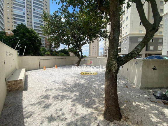 Imagem Apartamento com 3 Quartos à Venda, 62 m² em Campestre - Santo André