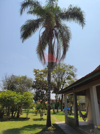 Imagem Casa com 4 Quartos à Venda, 166 m² em Leão Novaes - Peruíbe Imagem Casa com 4 Quartos à Venda, 166 m² em Leão Novaes - Peruíbe