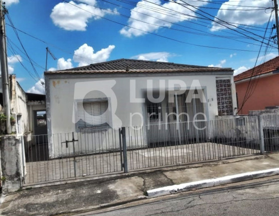 Imagem Terreno à Venda, 370 m² em Vila Maria Alta - São Paulo Imagem Terreno à Venda, 370 m² em Vila Maria Alta - São Paulo