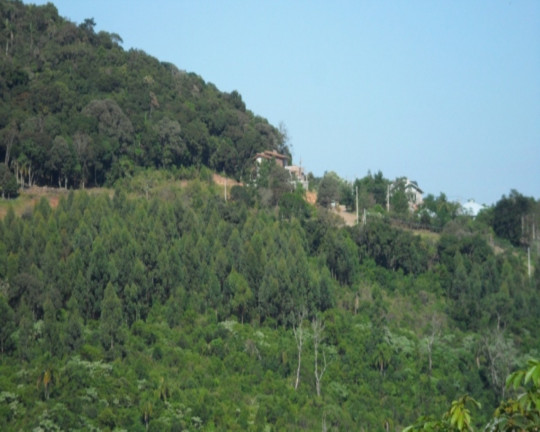 Imagem Imóvel à Venda, 17.852 m² em Pousada Da Neve - Nova Petrópolis Imagem Imóvel à Venda, 17.852 m² em Pousada Da Neve - Nova Petrópolis