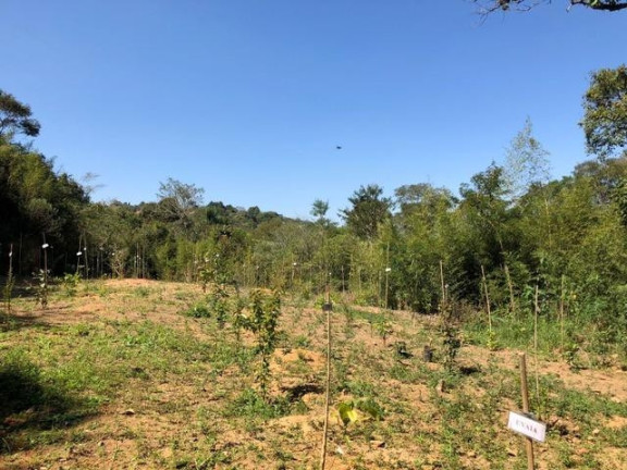 Imagem Terreno à Venda, 5.017 m² em Chácara Das Candeias - Carapicuíba Imagem Terreno à Venda, 5.017 m² em Chácara Das Candeias - Carapicuíba