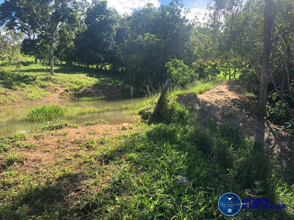 Imagem Fazenda à Venda, 52 m² em Zona Rural - Senador Canedo Imagem Fazenda à Venda, 52 m² em Zona Rural - Senador Canedo