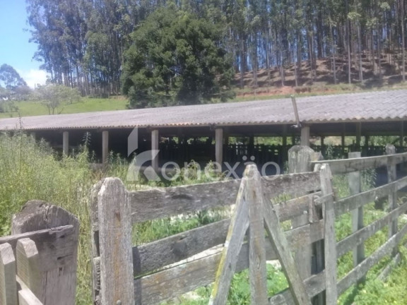 Imagem Fazenda à Venda, 200 m² em Centro - Paraibuna Imagem Fazenda à Venda, 200 m² em Centro - Paraibuna