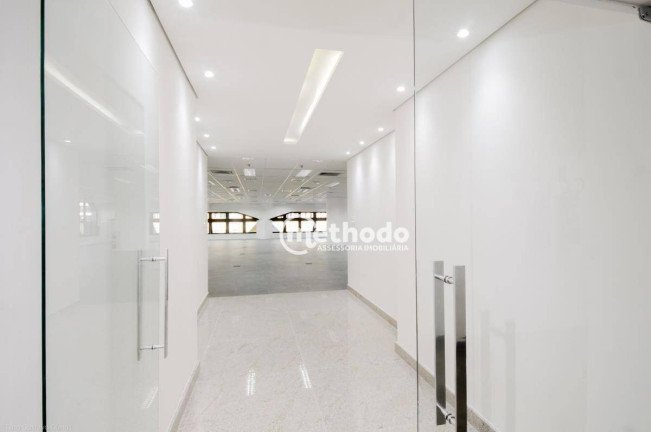 Imagem Sala Comercial para Alugar, 481 m² em Nova Campinas - Campinas Imagem Sala Comercial para Alugar, 481 m² em Nova Campinas - Campinas