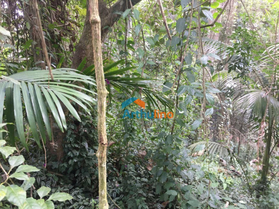 Imagem Terreno à Venda, 2.765 m² em Chácara Represinha - Cotia Imagem Terreno à Venda, 2.765 m² em Chácara Represinha - Cotia