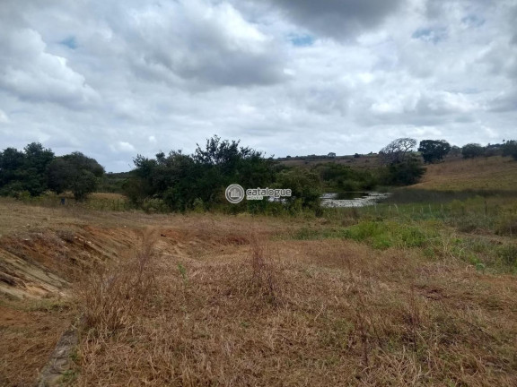 Imagem Fazenda à Venda, 300.000 m² em Lagoa Do Mato - Monte Alegre Imagem Fazenda à Venda, 300.000 m² em Lagoa Do Mato - Monte Alegre