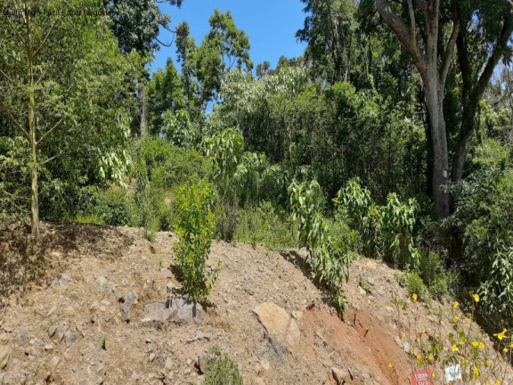 Terreno à Venda, 444 m² em Linha Imperial - Nova Petrópolis