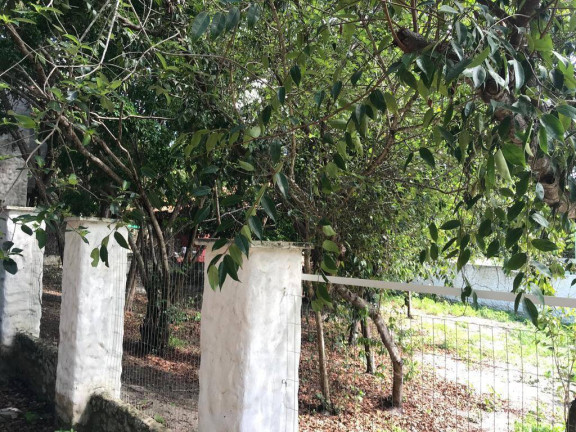 Imagem Terreno à Venda, em Centro Da Praia De Pipa - Tibau Do Sul Imagem Terreno à Venda, em Centro Da Praia De Pipa - Tibau Do Sul
