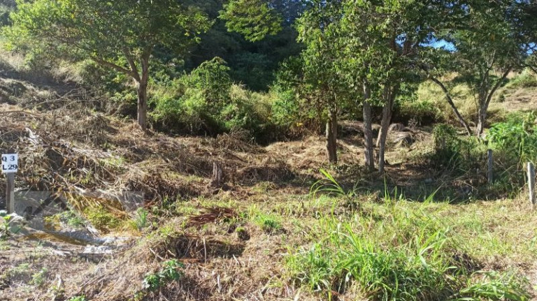 Terreno à Venda, 471 m² em Conselheiro Paulino - Nova Friburgo