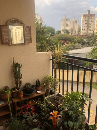 Imagem Apartamento com 3 Quartos à Venda, 65 m² em Jardim Celeste - São Paulo