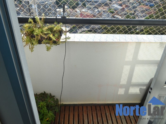 Imagem Apartamento com 3 Quartos à Venda, 73 m² em Vila Amélia - São Paulo