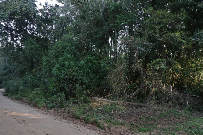 Imagem Terreno à Venda, 1.350 m² em águas Claras - Viamão Imagem Terreno à Venda, 1.350 m² em águas Claras - Viamão