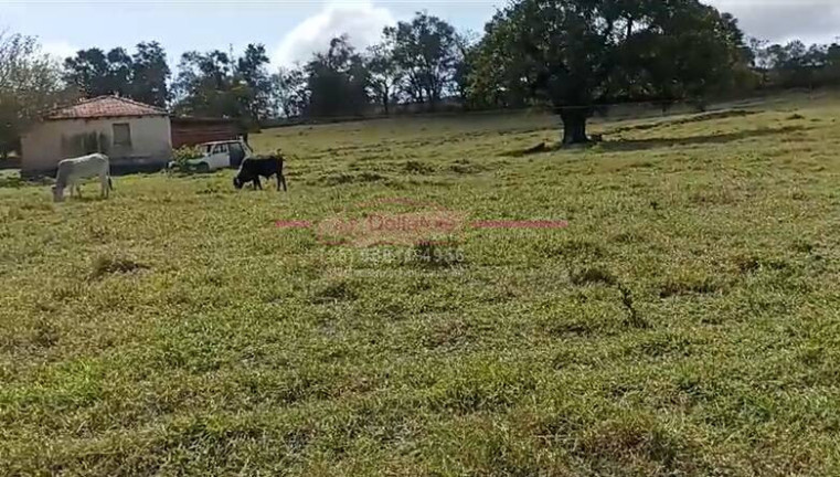 Imagem Chácara com 2 Quartos à Venda, 150 m² em área Rural De Tatuí - Tatuí