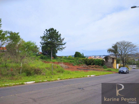 Imagem Terreno à Venda, 785 m² em Campestre - São Leopoldo Imagem Terreno à Venda, 785 m² em Campestre - São Leopoldo