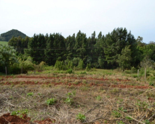 Imagem Imóvel à Venda, 429 m² em Pinhal Alto - Nova Petrópolis