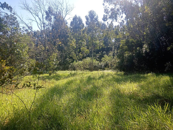 Imagem Chácara à Venda, 29.000 m² em Pimenta - Viamão Imagem Chácara à Venda, 29.000 m² em Pimenta - Viamão