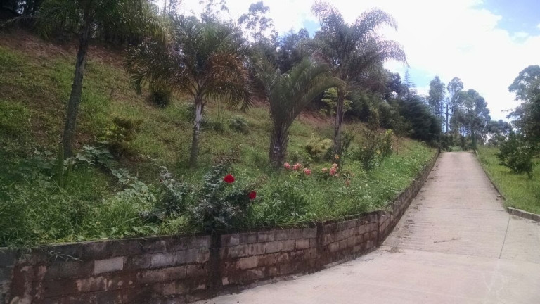 Imagem Galpão à Venda, 2 m² em Terra Preta - Mairiporã