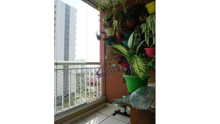 Imagem Apartamento com 3 Quartos à Venda, 70 m² em Jardim Bonfiglioli - São Paulo Imagem Apartamento com 3 Quartos à Venda, 70 m² em Jardim Bonfiglioli - São Paulo