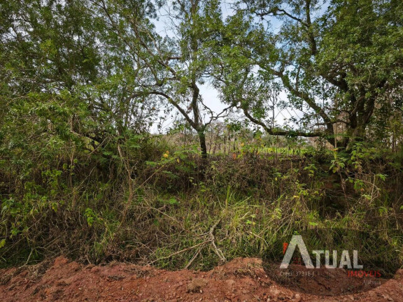 Imagem Terreno à Venda, 353 m² em Jundiaizinho (terra Preta) - Mairiporã
