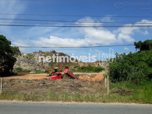 Imagem Terreno à Venda, 16.000 m² em Fazenda Santo Antônio - São José Imagem Terreno à Venda, 16.000 m² em Fazenda Santo Antônio - São José