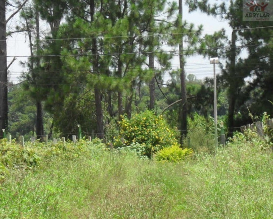 Imagem Imóvel à Venda, 36.300 m² em Medeiros - Jundiaí Imagem Imóvel à Venda, 36.300 m² em Medeiros - Jundiaí