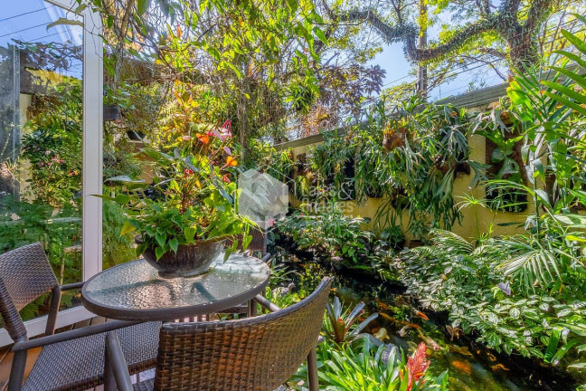 Imagem Casa com 5 Quartos à Venda, 572 m² em Jardim Luzitânia - São Paulo Imagem Casa com 5 Quartos à Venda, 572 m² em Jardim Luzitânia - São Paulo