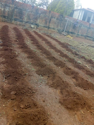 Imagem Terreno à Venda, 1.000 m² em Rural - Limeira Imagem Terreno à Venda, 1.000 m² em Rural - Limeira