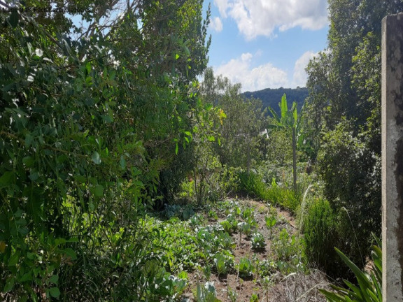 Imagem Terreno à Venda, 1.845 m² em Vila Olinda - Nova Petrópolis Imagem Terreno à Venda, 1.845 m² em Vila Olinda - Nova Petrópolis