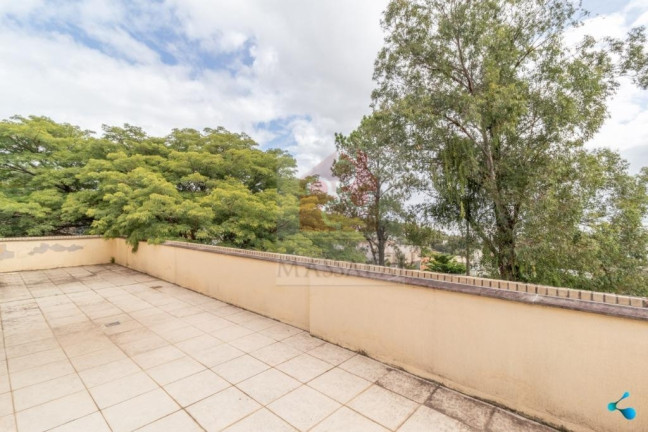 Imagem Casa com 4 Quartos à Venda, 373 m² em Menino Deus - Porto Alegre Imagem Casa com 4 Quartos à Venda, 373 m² em Menino Deus - Porto Alegre
