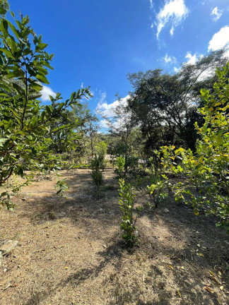 Imagem Chácara com 2 Quartos à Venda, 7.800 m² em Quintas Da Capela Nova - Itatiaiuçu